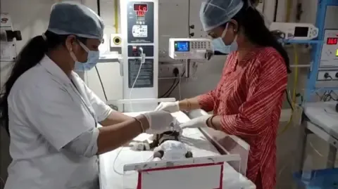 Newborn Buried Alive in India Battles for Her Life